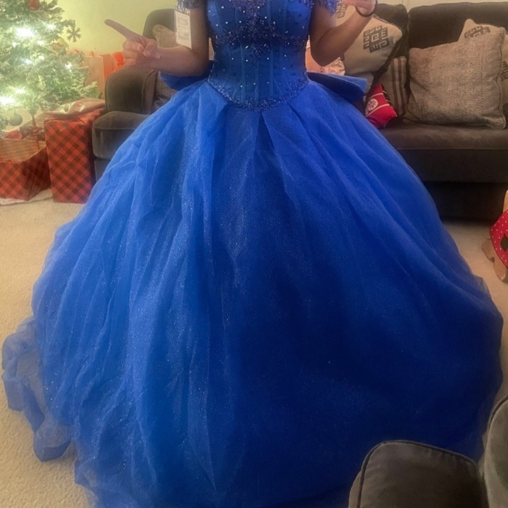 Elegant Royal Blue Ball Gown